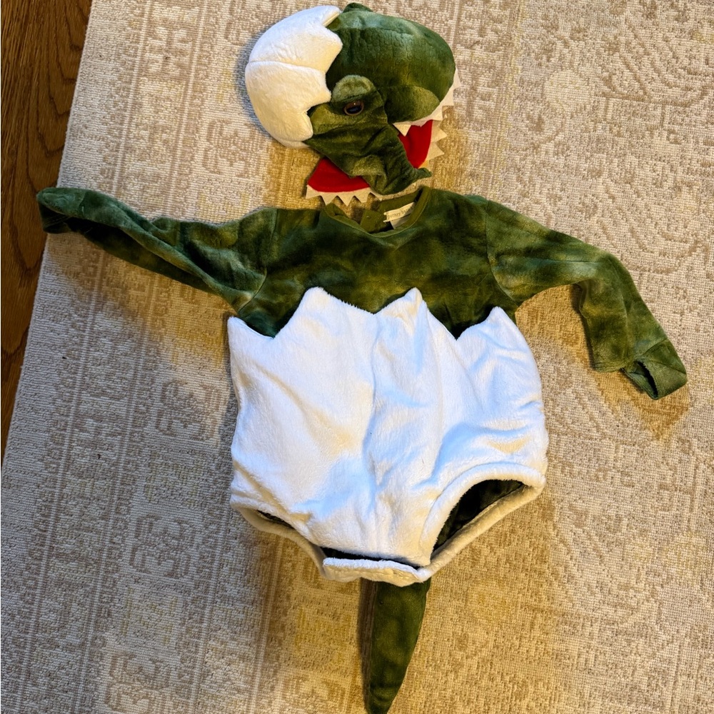 Pottery Barn Green and White Dinosaur Kids Halloween Costume